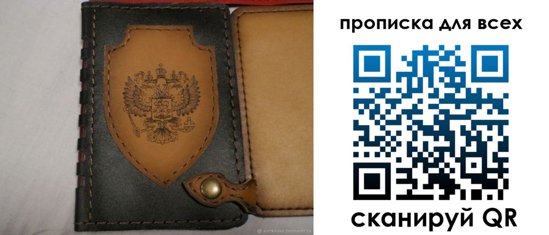 прописка для школы в Электростали